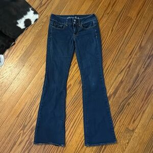 American Eagle Artist